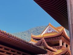 -深圳仙湖植物园