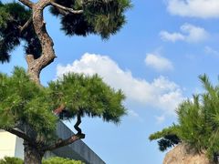 -罗红摄影艺术馆