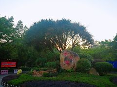 -滴水岩森林公园