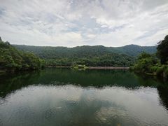 -桃花岭景区