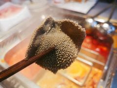 -蜀九香火锅(九眼桥店)