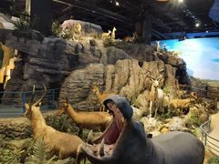 -陕西自然博物馆