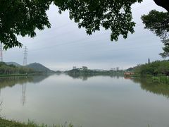 -顺峰山公园