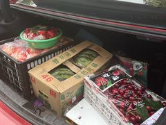 -南京众彩农副产品配送有限公司