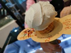 -野人先生现做冰淇淋(西安赛格店)