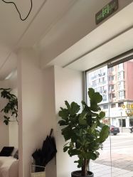 -WENDY·温迪皮肤管理