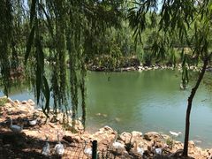 -北京张裕爱斐堡酒庄