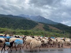 -青海湖国家重点风景名胜区