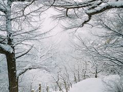 -崂山巨峰游览区