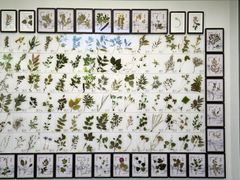 -药王庙(安国市)