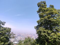 -南山植物园