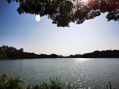 -南国桃园旅游度假区