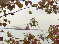 -上海滨江森林公园