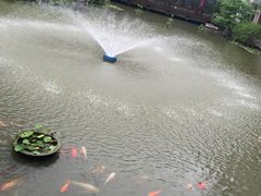 -苏苑饭店-中餐厅(长桥地区店)