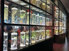 -广东中医药博物馆