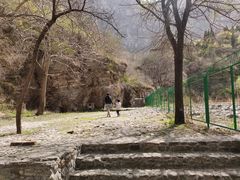 -青龙山生态文化旅游区