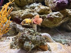 -Zoolung Zoolung动物主题公园(海信广场店)