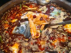 石锅鱼-秦巴石锅鱼(文化南路店)