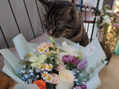 -ChaKo Flora ·茶子花艺 (市北店)