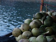 -蓝湾碧波·老字号·疍家非遗海上餐厅