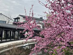 -雅达·阳羡溪山小镇中心