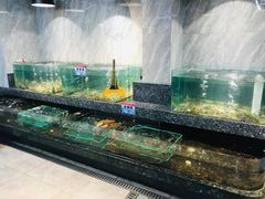 -海鲜e族(马王堆店)