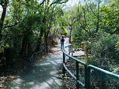 -南丫岛