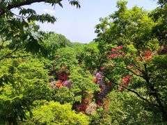 -西泰山风景区