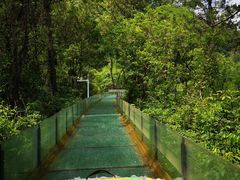 -牛鱼嘴原始生态风景区
