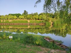 -白鹭湾湿地公园