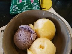 -莓园冰淇淋店