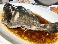 清蒸石斑鱼-达叔香味海鲜(海棠68环球美食街店)