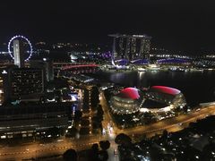 -新加坡瑞士史丹福酒店