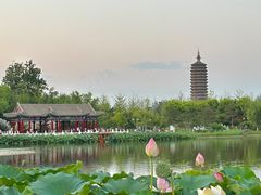 -西海子公园