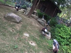 -上方山森林动物世界
