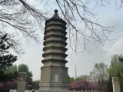 -古塔公园