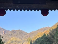 -林坑古村落