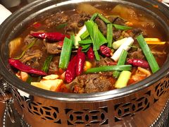 -嘉定凯悦·咖啡厅