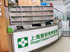 -爱侣宠医·鹦鹉专科·小型哺乳类·异宠专科(灵石路店)