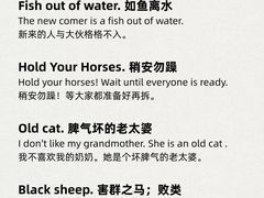 -学知乐教育·幼小衔接·小学科辅导(嘉定镇校区)
