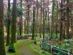 -象山森林公园