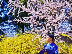 -圆明园遗址公园-藻园门售票处