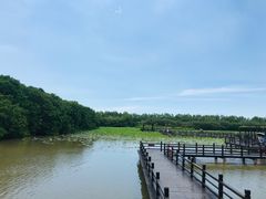 -大湾区中央湿地公园