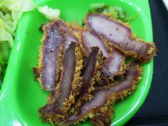 -老凌记广东烧鹅饭(宝利金店)