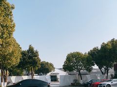 -树山生态村