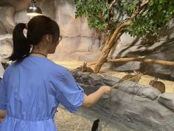 -Zoolung Zoolung动物主题公园(海信广场店)