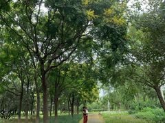 -绿堤公园