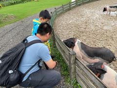 -前小桔亲子创意农场·草莓采摘·露营烧烤