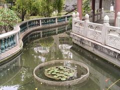 -碧江金楼