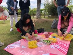 -上海长兴岛郊野公园